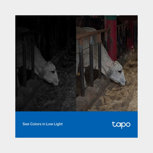 Load image into Gallery viewer, TP-link Tapo C320WS Outdoor Security Wi-Fi Camera (Tapo C320WS)