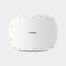 Load image into Gallery viewer, Peplink MAX HD2 LTE IP67 (Europe/Int'l GSM)