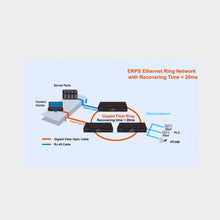 Load image into Gallery viewer, Airlive SNMP-GSF12M: Managed Multi Gigabit Fiber Switch (SNMP-GSF12M)