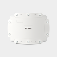Load image into Gallery viewer, Peplink MAX HD2 LTE IP67 (Europe/Int&#39;l GSM)
