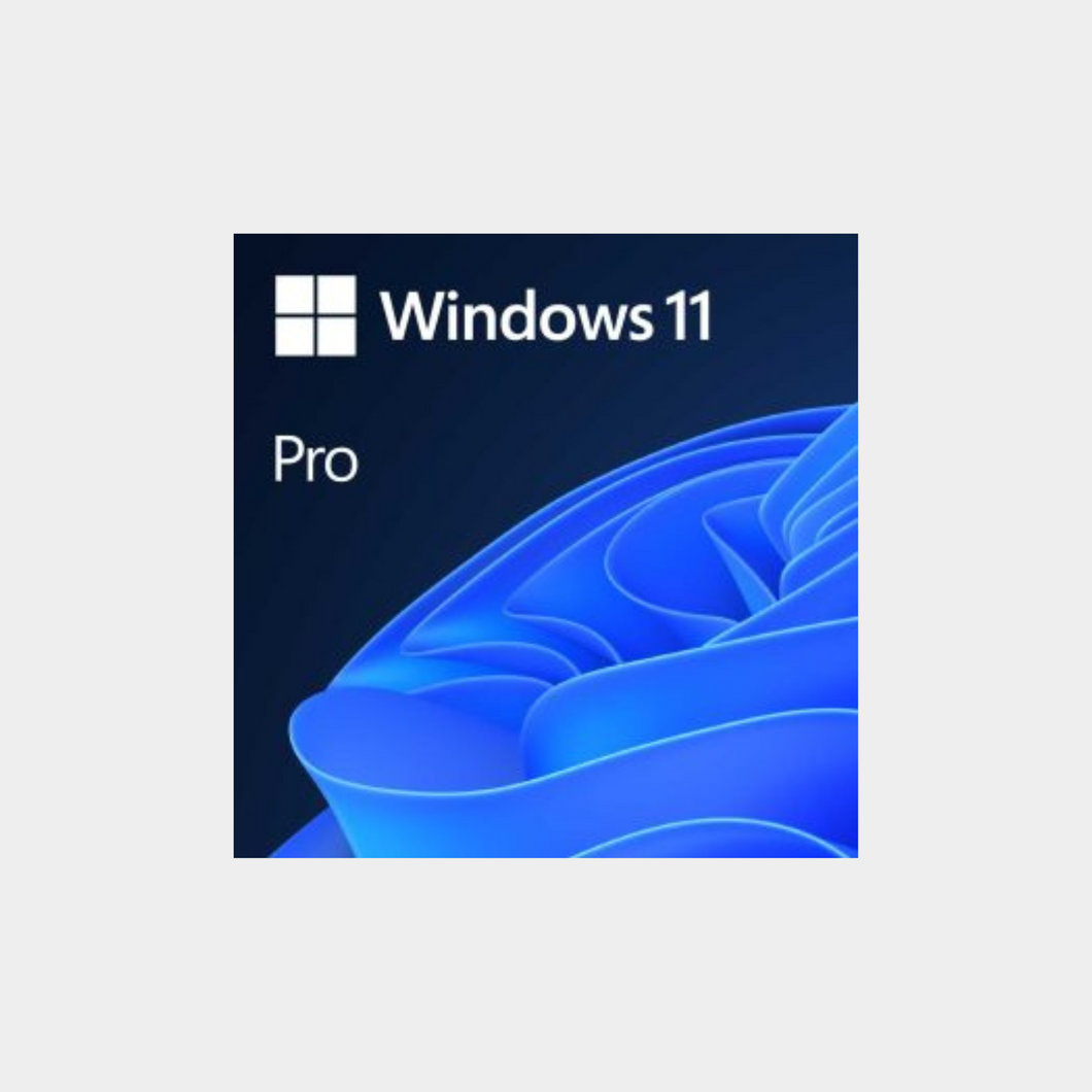 Windows 11 Professional (MS-FQC-10572)