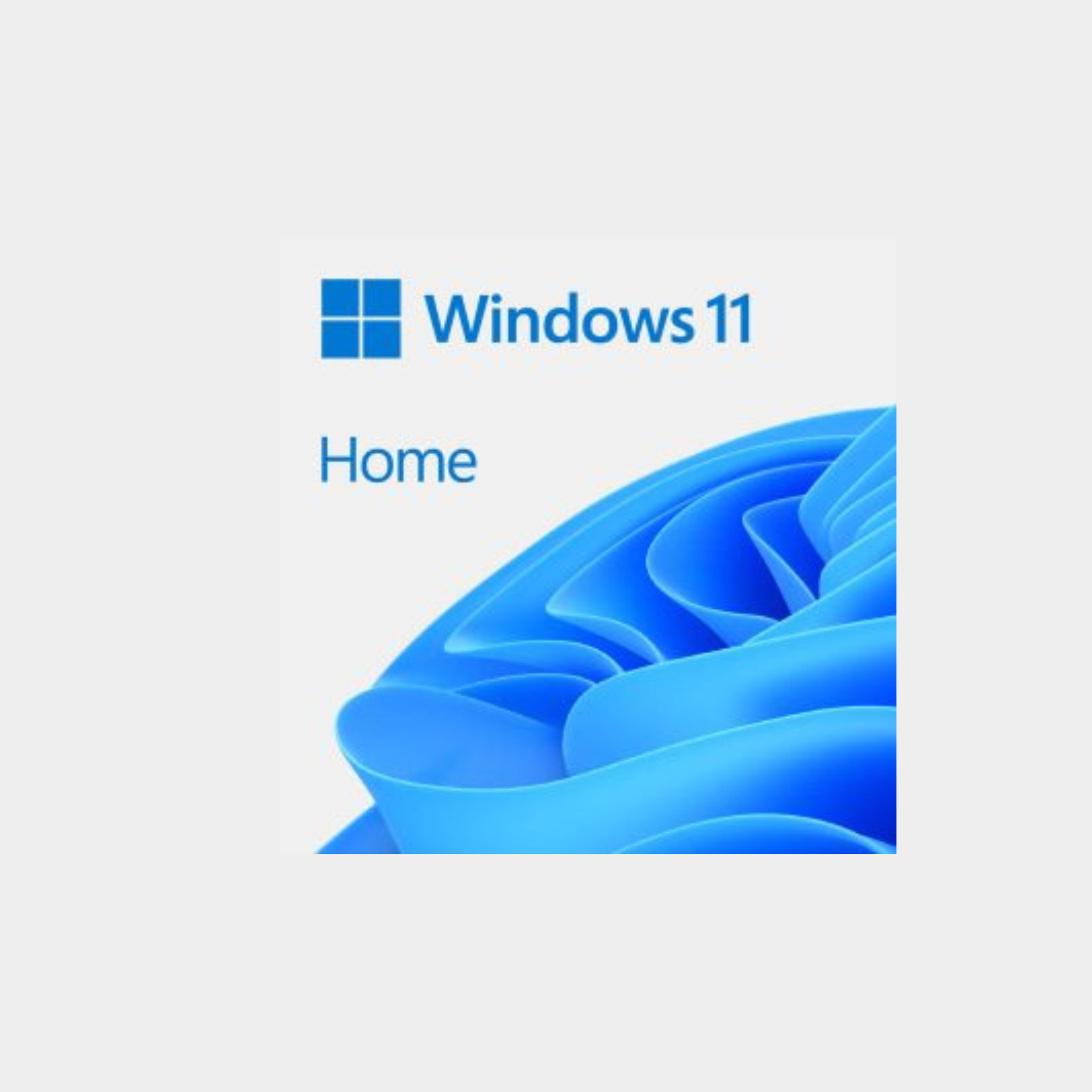 Windows 11 Home (MS-KW9-00664)
